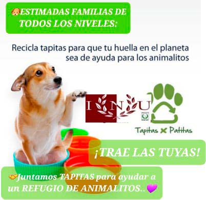 Proyecto solidario - Refugio de perros